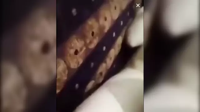 Gabal'da Azerbaycanlı hatun, kocası ve karısıyla ateşli bir video çekiyor.